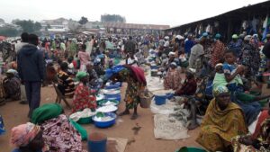 Timide retour des déplacés à Bule, sous la protection des FARDC et de la MONUSCO